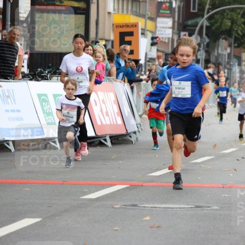 21.09.2025 - PSD Bank Halbmarathon Strokosch-Dieckow http://msf.ph/oto/8942140 21.09.2025 10:29:10 Ziel 168, 261, 267, 327, 345, 390, 395, 416, 443, 455 meine-sportfotos.de