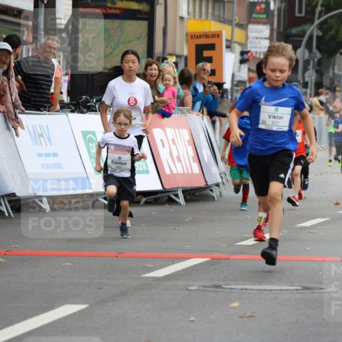 21.09.2025 - PSD Bank Halbmarathon Strokosch-Dieckow http://msf.ph/oto/8942148 21.09.2025 10:29:10 Ziel 168, 261, 267, 327, 345, 390, 395, 416, 443, 455 meine-sportfotos.de