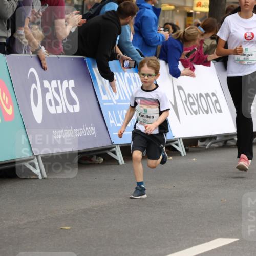 21.09.2025 - PSD Bank Halbmarathon Strokosch-Dieckow http://msf.ph/oto/8942167 21.09.2025 10:29:13 Ziel 261, 327, 345, 381, 390, 395, 416, 434, 443, 455 meine-sportfotos.de