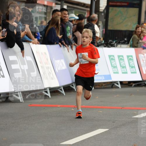 21.09.2025 - PSD Bank Halbmarathon Strokosch-Dieckow http://msf.ph/oto/8942177 21.09.2025 10:29:16 Ziel 233, 261, 327, 345, 381, 390, 395, 416, 434, 455 meine-sportfotos.de