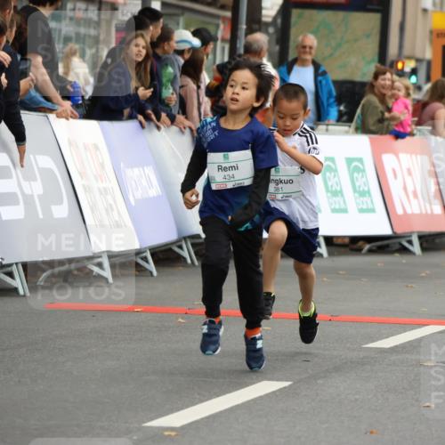 21.09.2025 - PSD Bank Halbmarathon Strokosch-Dieckow http://msf.ph/oto/8942189 21.09.2025 10:29:19 Ziel 166, 233, 250, 261, 301, 327, 345, 381, 390, 395, 406, 434, 455 meine-sportfotos.de