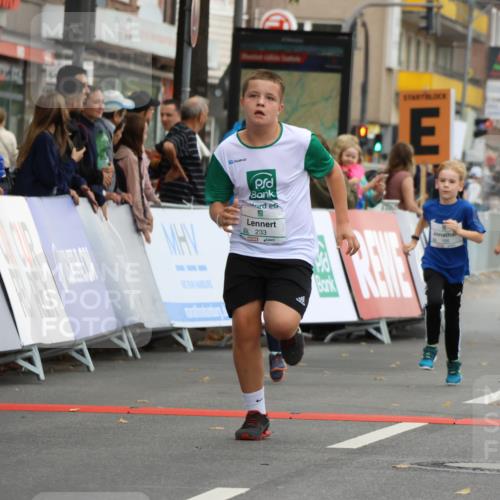 21.09.2025 - PSD Bank Halbmarathon Strokosch-Dieckow http://msf.ph/oto/8942193 21.09.2025 10:29:21 Ziel 166, 233, 250, 261, 301, 345, 381, 390, 395, 406, 434, 455 meine-sportfotos.de