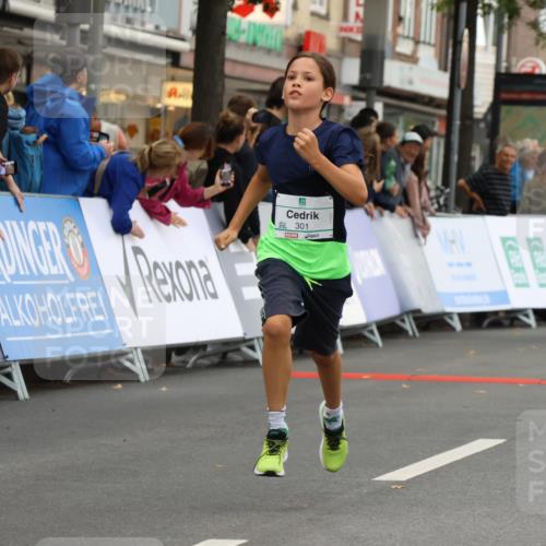 21.09.2025 - PSD Bank Halbmarathon Strokosch-Dieckow http://msf.ph/oto/8942223 21.09.2025 10:29:27 Ziel 132, 166, 233, 250, 301, 328, 381, 406, 434, 453 meine-sportfotos.de