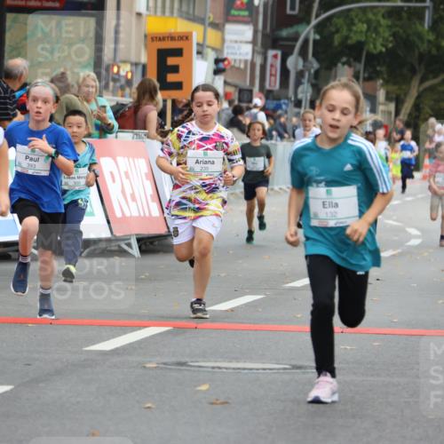 21.09.2025 - PSD Bank Halbmarathon Strokosch-Dieckow http://msf.ph/oto/8942239 21.09.2025 10:29:34 Ziel 103, 132, 235, 250, 300, 301, 328, 393, 453 meine-sportfotos.de
