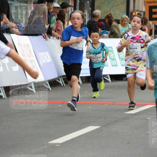21.09.2025 - PSD Bank Halbmarathon Strokosch-Dieckow http://msf.ph/oto/8942245 21.09.2025 10:29:35 Ziel 103, 132, 235, 271, 296, 300, 301, 319, 328, 393, 453 meine-sportfotos.de