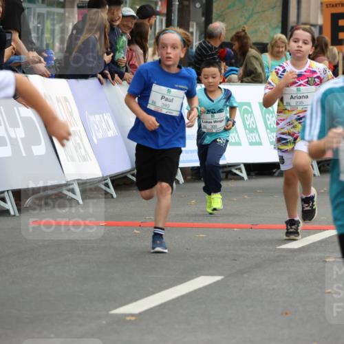 21.09.2025 - PSD Bank Halbmarathon Strokosch-Dieckow http://msf.ph/oto/8942248 21.09.2025 10:29:35 Ziel 103, 132, 235, 271, 296, 300, 301, 319, 328, 393, 453 meine-sportfotos.de