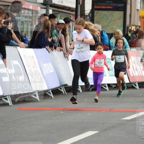 21.09.2025 - PSD Bank Halbmarathon Strokosch-Dieckow http://msf.ph/oto/8942258 21.09.2025 10:29:39 Ziel 103, 132, 201, 235, 271, 296, 300, 319, 328, 393, 453 meine-sportfotos.de