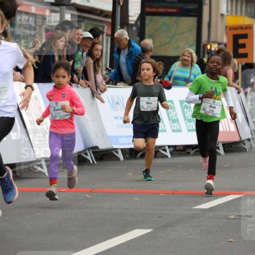 21.09.2025 - PSD Bank Halbmarathon Strokosch-Dieckow http://msf.ph/oto/8942270 21.09.2025 10:29:41 Ziel 103, 132, 201, 235, 271, 296, 300, 319, 328, 393, 453 meine-sportfotos.de