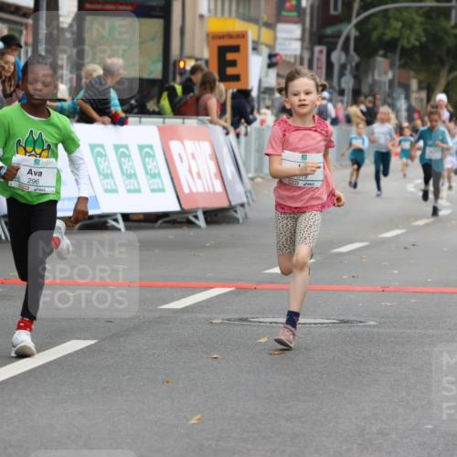 21.09.2025 - PSD Bank Halbmarathon Strokosch-Dieckow http://msf.ph/oto/8942276 21.09.2025 10:29:43 Ziel 103, 131, 132, 201, 235, 271, 296, 300, 319, 393 meine-sportfotos.de
