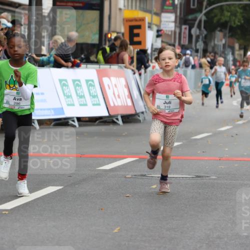 21.09.2025 - PSD Bank Halbmarathon Strokosch-Dieckow http://msf.ph/oto/8942281 21.09.2025 10:29:43 Ziel 103, 131, 132, 201, 235, 271, 296, 300, 319, 393 meine-sportfotos.de