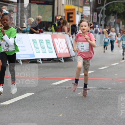 21.09.2025 - PSD Bank Halbmarathon Strokosch-Dieckow http://msf.ph/oto/8942283 21.09.2025 10:29:43 Ziel 103, 131, 132, 201, 235, 271, 296, 300, 319, 393 meine-sportfotos.de