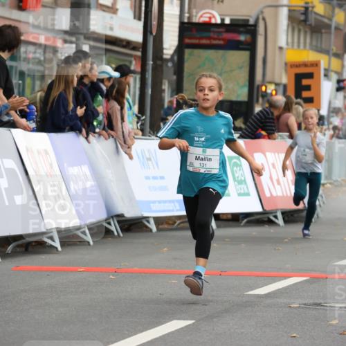 21.09.2025 - PSD Bank Halbmarathon Strokosch-Dieckow http://msf.ph/oto/8942285 21.09.2025 10:29:49 Ziel 103, 131, 195, 201, 234, 271, 272, 276, 296, 319, 430, 438 meine-sportfotos.de