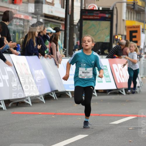 21.09.2025 - PSD Bank Halbmarathon Strokosch-Dieckow http://msf.ph/oto/8942290 21.09.2025 10:29:49 Ziel 103, 131, 195, 201, 234, 271, 272, 276, 296, 319, 430, 438 meine-sportfotos.de