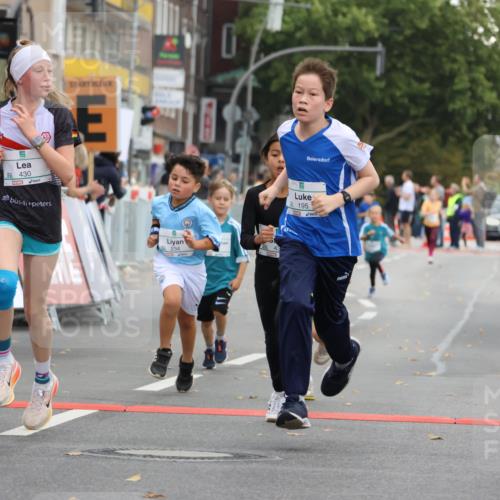 21.09.2025 - PSD Bank Halbmarathon Strokosch-Dieckow http://msf.ph/oto/8942310 21.09.2025 10:29:54 Ziel 131, 140, 195, 234, 272, 276, 430, 438 meine-sportfotos.de
