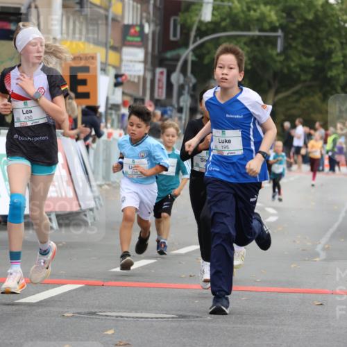 21.09.2025 - PSD Bank Halbmarathon Strokosch-Dieckow http://msf.ph/oto/8942312 21.09.2025 10:29:54 Ziel 131, 140, 195, 234, 272, 276, 430, 438 meine-sportfotos.de