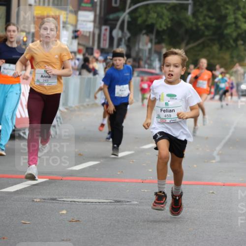 21.09.2025 - PSD Bank Halbmarathon Strokosch-Dieckow http://msf.ph/oto/8942373 21.09.2025 10:30:12 Ziel 104, 141, 145, 227, 231, 243, 245, 382, 407, 448, 458, 459 meine-sportfotos.de