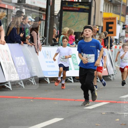 21.09.2025 - PSD Bank Halbmarathon Strokosch-Dieckow http://msf.ph/oto/8942379 21.09.2025 10:30:16 Ziel 102, 104, 145, 227, 231, 243, 343, 377, 382, 407, 448, 458, 459 meine-sportfotos.de