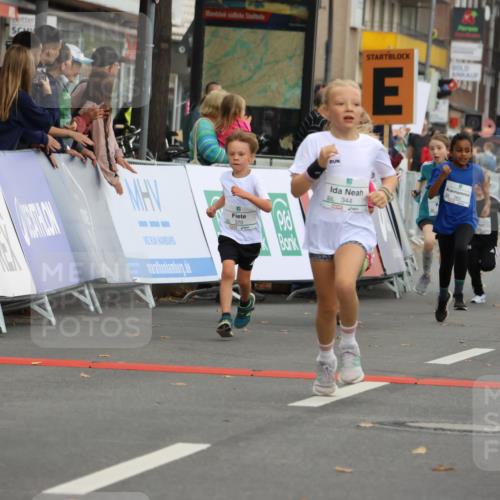 21.09.2025 - PSD Bank Halbmarathon Strokosch-Dieckow http://msf.ph/oto/8942403 21.09.2025 10:30:26 Ziel 102, 104, 129, 151, 263, 343, 344, 351, 370, 375, 377, 382, 407, 431 meine-sportfotos.de