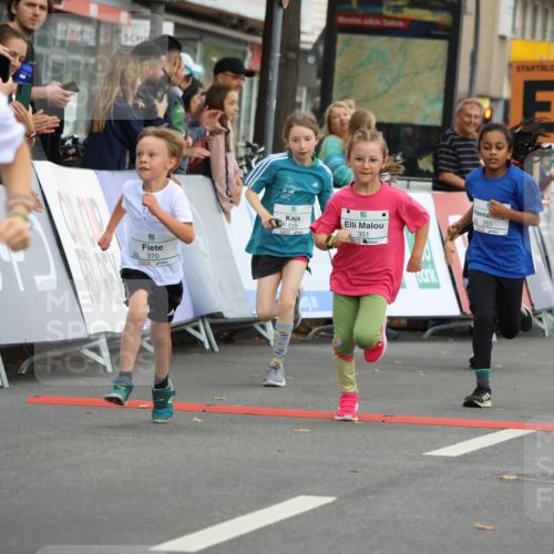 21.09.2025 - PSD Bank Halbmarathon Strokosch-Dieckow http://msf.ph/oto/8942411 21.09.2025 10:30:29 Ziel 102, 129, 151, 263, 320, 343, 344, 351, 370, 375, 377, 431, 456 meine-sportfotos.de