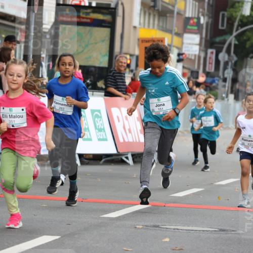 21.09.2025 - PSD Bank Halbmarathon Strokosch-Dieckow http://msf.ph/oto/8942420 21.09.2025 10:30:30 Ziel 116, 129, 151, 263, 320, 344, 351, 370, 375, 431, 456, 457 meine-sportfotos.de