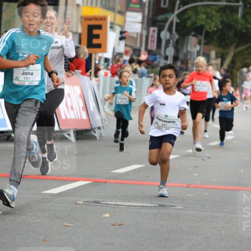 21.09.2025 - PSD Bank Halbmarathon Strokosch-Dieckow http://msf.ph/oto/8942426 21.09.2025 10:30:31 Ziel 116, 129, 151, 263, 320, 324, 344, 351, 370, 375, 405, 431, 456, 457 meine-sportfotos.de