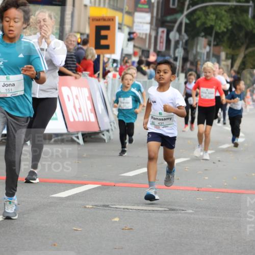 21.09.2025 - PSD Bank Halbmarathon Strokosch-Dieckow http://msf.ph/oto/8942433 21.09.2025 10:30:31 Ziel 116, 129, 151, 263, 320, 324, 344, 351, 370, 375, 405, 431, 456, 457 meine-sportfotos.de