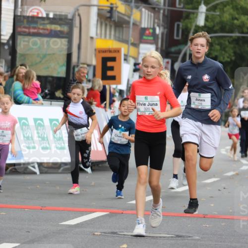 21.09.2025 - PSD Bank Halbmarathon Strokosch-Dieckow http://msf.ph/oto/8942453 21.09.2025 10:30:36 Ziel 108, 116, 129, 151, 246, 263, 320, 324, 344, 351, 370, 375, 402, 405, 431, 456, 457 meine-sportfotos.de