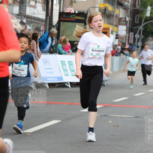 21.09.2025 - PSD Bank Halbmarathon Strokosch-Dieckow http://msf.ph/oto/8942455 21.09.2025 10:30:39 Ziel 108, 116, 129, 151, 192, 246, 263, 320, 324, 335, 351, 370, 375, 402, 405, 431, 456, 457 meine-sportfotos.de