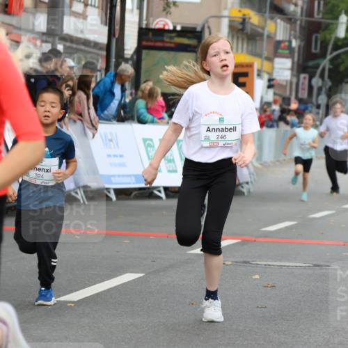 21.09.2025 - PSD Bank Halbmarathon Strokosch-Dieckow http://msf.ph/oto/8942456 21.09.2025 10:30:40 Ziel 108, 116, 117, 129, 151, 192, 246, 263, 318, 320, 324, 335, 375, 402, 403, 405, 431, 456, 457 meine-sportfotos.de