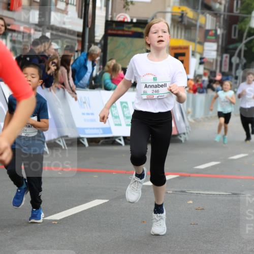 21.09.2025 - PSD Bank Halbmarathon Strokosch-Dieckow http://msf.ph/oto/8942459 21.09.2025 10:30:40 Ziel 108, 116, 117, 129, 151, 192, 246, 263, 318, 320, 324, 335, 375, 402, 403, 405, 431, 456, 457 meine-sportfotos.de