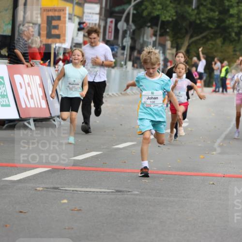 21.09.2025 - PSD Bank Halbmarathon Strokosch-Dieckow http://msf.ph/oto/8942462 21.09.2025 10:30:42 Ziel 108, 116, 117, 192, 246, 318, 320, 324, 335, 402, 403, 405, 456, 457 meine-sportfotos.de
