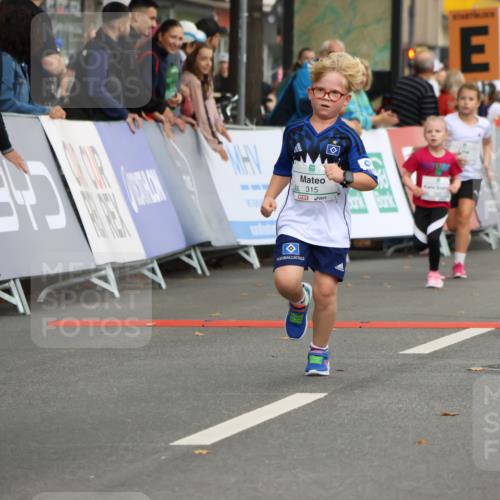 21.09.2025 - PSD Bank Halbmarathon Strokosch-Dieckow http://msf.ph/oto/8942501 21.09.2025 10:30:58 Ziel 315, 323, 340 meine-sportfotos.de