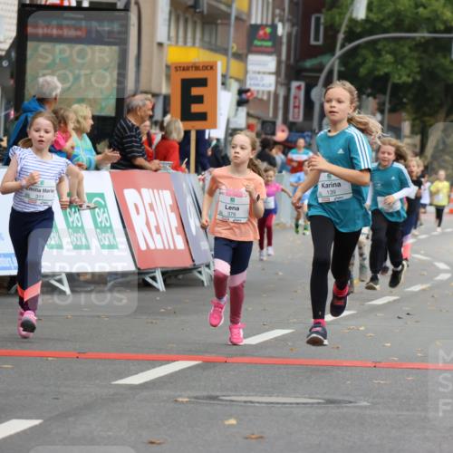 21.09.2025 - PSD Bank Halbmarathon Strokosch-Dieckow http://msf.ph/oto/8942544 21.09.2025 10:31:15 Ziel 139, 147, 148, 177, 277, 311, 376, 387, 413 meine-sportfotos.de