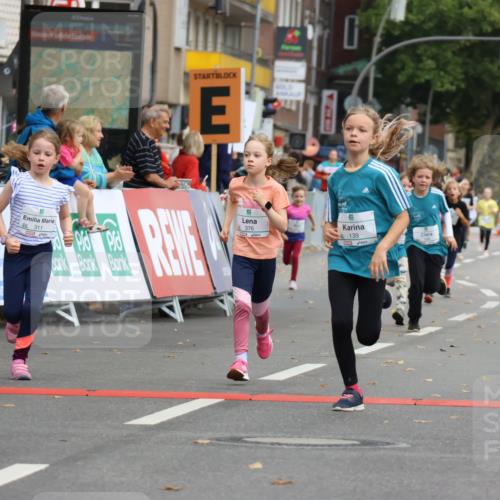 21.09.2025 - PSD Bank Halbmarathon Strokosch-Dieckow http://msf.ph/oto/8942548 21.09.2025 10:31:15 Ziel 139, 147, 148, 177, 277, 311, 376, 387, 413 meine-sportfotos.de