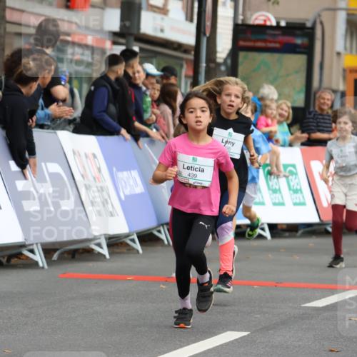 21.09.2025 - PSD Bank Halbmarathon Strokosch-Dieckow http://msf.ph/oto/8942590 21.09.2025 10:31:26 Ziel 147, 148, 287, 311, 326, 352, 376, 414, 439 meine-sportfotos.de