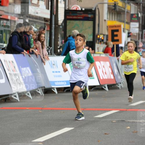 21.09.2025 - PSD Bank Halbmarathon Strokosch-Dieckow http://msf.ph/oto/8942625 21.09.2025 10:31:37 Ziel 122, 224, 287, 352, 404, 454, 463 meine-sportfotos.de