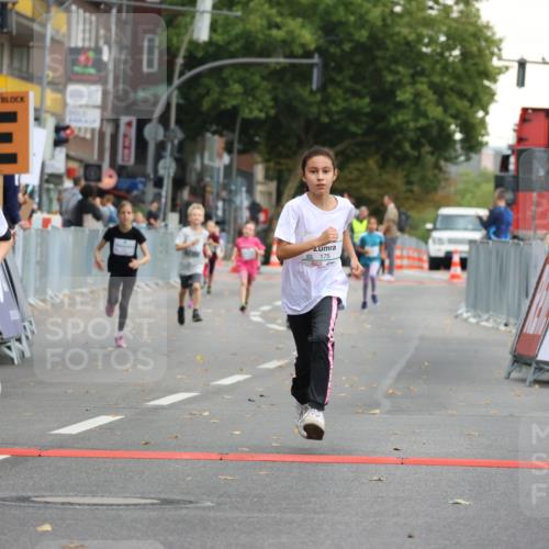 21.09.2025 - PSD Bank Halbmarathon Strokosch-Dieckow http://msf.ph/oto/8942652 21.09.2025 10:31:44 Ziel 122, 175, 190, 191, 224, 404, 454, 463 meine-sportfotos.de