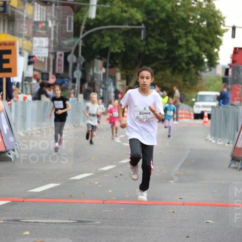 21.09.2025 - PSD Bank Halbmarathon Strokosch-Dieckow http://msf.ph/oto/8942658 21.09.2025 10:31:44 Ziel 122, 175, 190, 191, 224, 404, 454, 463 meine-sportfotos.de