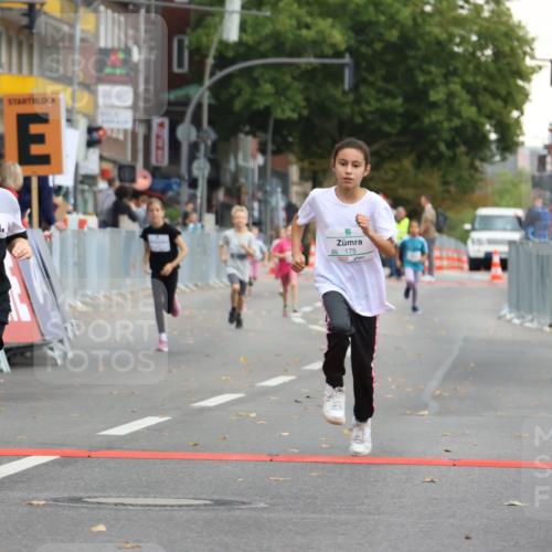 21.09.2025 - PSD Bank Halbmarathon Strokosch-Dieckow http://msf.ph/oto/8942659 21.09.2025 10:31:44 Ziel 122, 175, 190, 191, 224, 404, 454, 463 meine-sportfotos.de