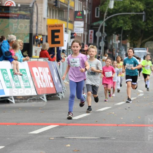 21.09.2025 - PSD Bank Halbmarathon Strokosch-Dieckow http://msf.ph/oto/8942671 21.09.2025 10:31:55 Ziel 110, 135, 137, 175, 208, 336 meine-sportfotos.de
