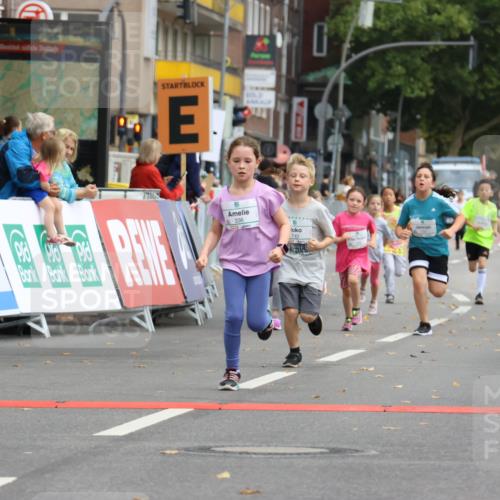 21.09.2025 - PSD Bank Halbmarathon Strokosch-Dieckow http://msf.ph/oto/8942672 21.09.2025 10:31:55 Ziel 110, 135, 137, 175, 208, 336 meine-sportfotos.de