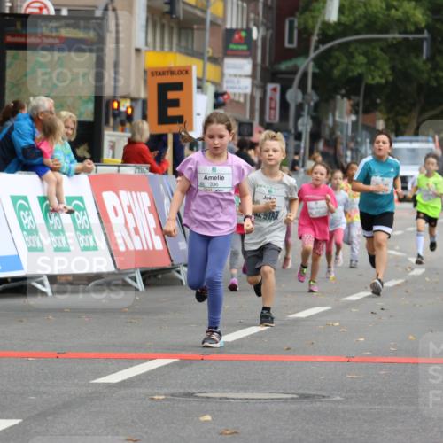21.09.2025 - PSD Bank Halbmarathon Strokosch-Dieckow http://msf.ph/oto/8942679 21.09.2025 10:31:55 Ziel 110, 135, 137, 175, 208, 336 meine-sportfotos.de