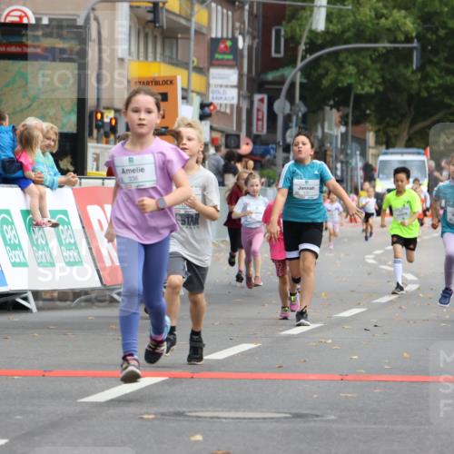 21.09.2025 - PSD Bank Halbmarathon Strokosch-Dieckow http://msf.ph/oto/8942683 21.09.2025 10:31:57 Ziel 110, 135, 137, 208, 259, 260, 293, 309, 336 meine-sportfotos.de