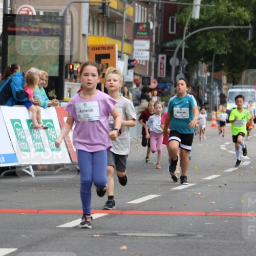 21.09.2025 - PSD Bank Halbmarathon Strokosch-Dieckow http://msf.ph/oto/8942686 21.09.2025 10:31:57 Ziel 110, 135, 137, 208, 259, 260, 293, 309, 336 meine-sportfotos.de