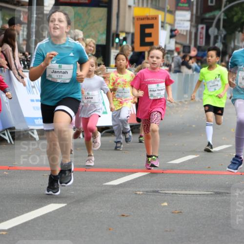 21.09.2025 - PSD Bank Halbmarathon Strokosch-Dieckow http://msf.ph/oto/8942710 21.09.2025 10:32:02 Ziel 110, 135, 137, 208, 259, 260, 293, 309, 322, 336, 369, 427 meine-sportfotos.de