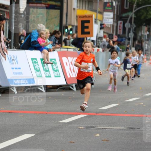 21.09.2025 - PSD Bank Halbmarathon Strokosch-Dieckow http://msf.ph/oto/8942729 21.09.2025 10:32:10 Ziel 135, 137, 259, 260, 293, 309, 322, 368, 369, 385, 427 meine-sportfotos.de