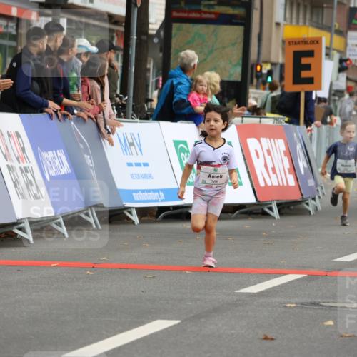 21.09.2025 - PSD Bank Halbmarathon Strokosch-Dieckow http://msf.ph/oto/8942741 21.09.2025 10:32:14 Ziel 133, 238, 282, 322, 368, 369, 385, 427 meine-sportfotos.de