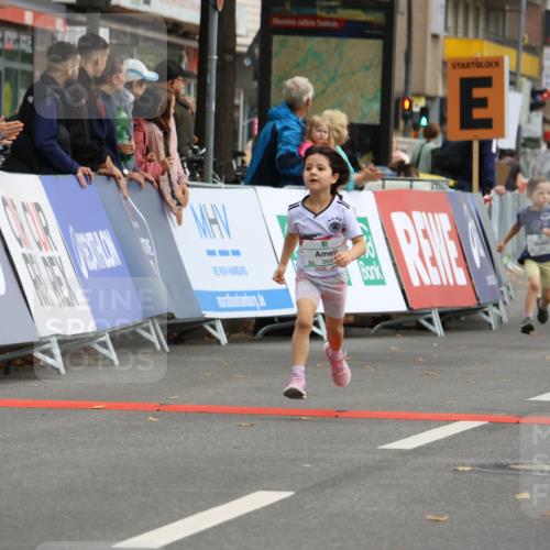 21.09.2025 - PSD Bank Halbmarathon Strokosch-Dieckow http://msf.ph/oto/8942744 21.09.2025 10:32:14 Ziel 133, 238, 282, 322, 368, 369, 385, 427 meine-sportfotos.de