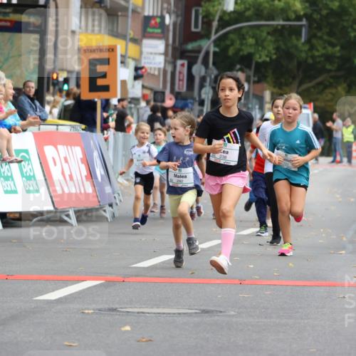 21.09.2025 - PSD Bank Halbmarathon Strokosch-Dieckow http://msf.ph/oto/8942750 21.09.2025 10:32:18 Ziel 133, 159, 173, 238, 273, 282, 368, 385 meine-sportfotos.de