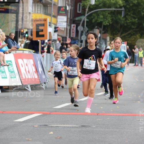 21.09.2025 - PSD Bank Halbmarathon Strokosch-Dieckow http://msf.ph/oto/8942753 21.09.2025 10:32:18 Ziel 133, 159, 173, 238, 273, 282, 368, 385 meine-sportfotos.de